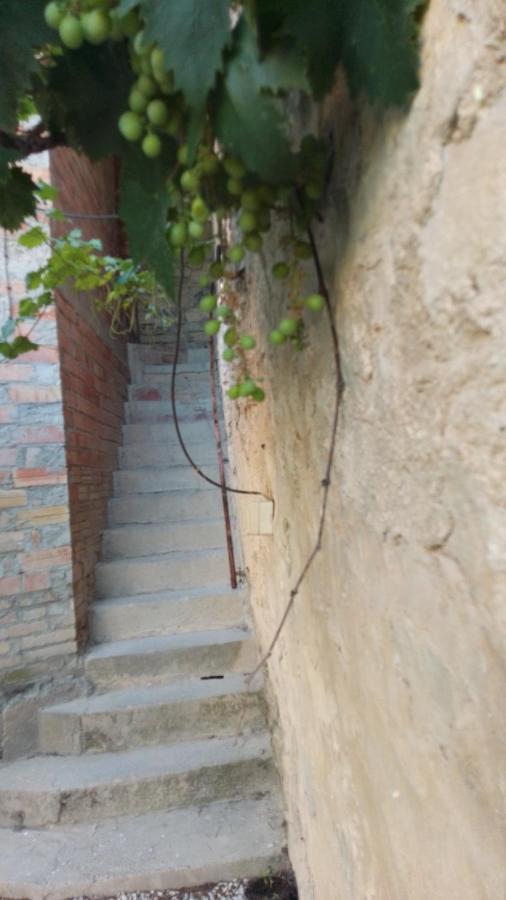 Willa Alojamiento En Sant Marti Rocafort de Vallbona Zewnętrze zdjęcie
